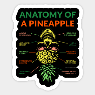 Anatomy of a pineapple Sticker